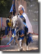 Modern Day Knight