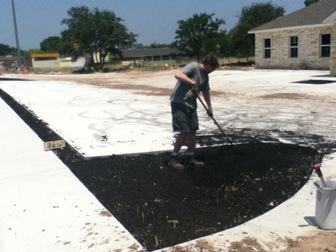 Front yard landscaping